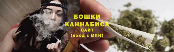 дмт Касимов
