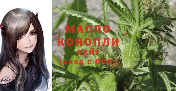 дмт Касимов