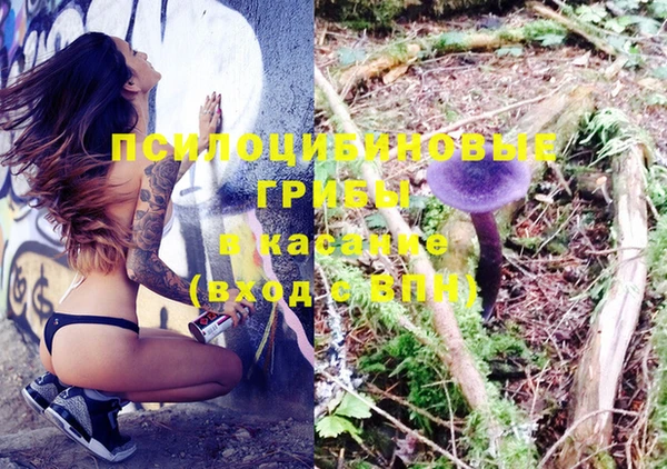 дмт Касимов