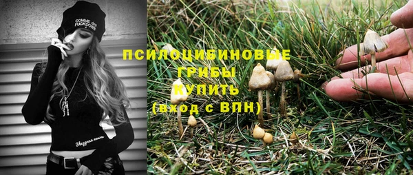 МДМА Карпинск