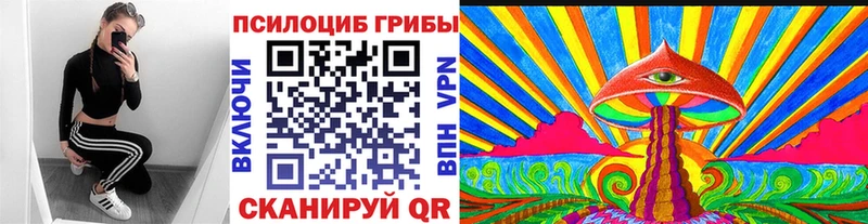 Купить где  Венёв  Галлюциногенные грибы прущие грибы 